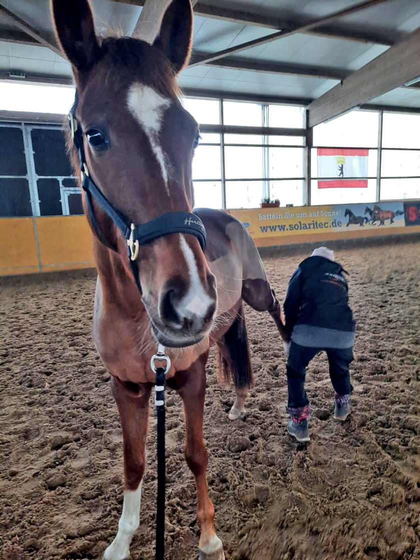 Franziska Hoppe bei der Arbeit